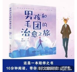 《男孩和毛团的治愈之旅》的读后感大全