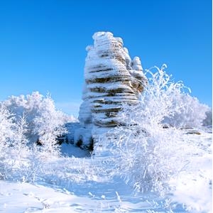 《滑滑溜溜的冰雪运动》读后感锦集