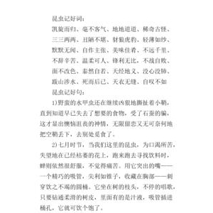 请叫我第一名读后感摘抄