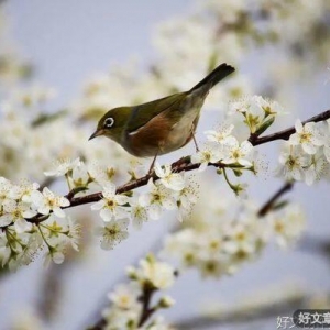 狗喂不饱，人讨不好，太现实了