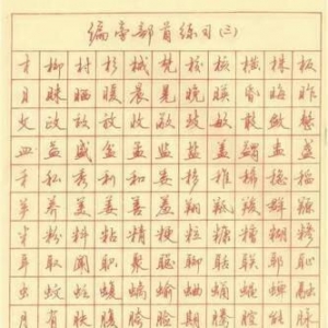 《永字八法》经典读后感有感