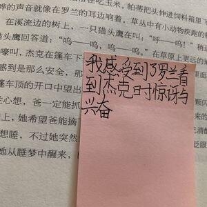 《草原上的小木屋》读后感100字