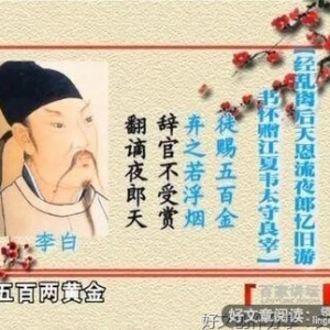 《我带李白去酒吧》的句子