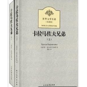 《卡拉马佐夫兄弟（全2册）》读后感100字