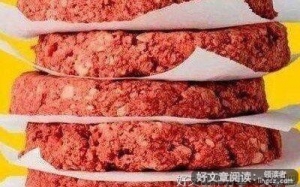 人造肉读后感100字