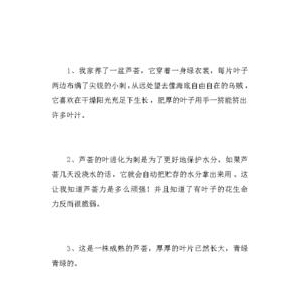 关于作文素材的优美句子