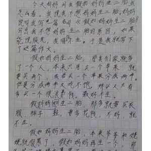 这就是我作文500字