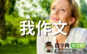 《我最敬佩的一个人》的作文