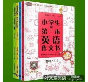 关于写作文的句型的书籍600字