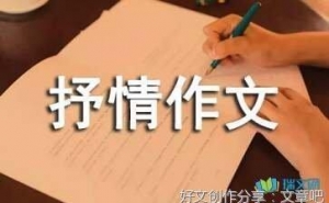 关于夜晚的抒情作文800字(通用10篇)