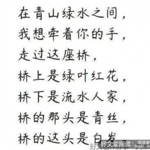 《写给k先生的情书》的句子