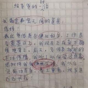 460字作文中秋800字