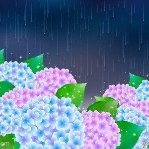 花雨季( ｰ̀εｰ́ )经典的句子