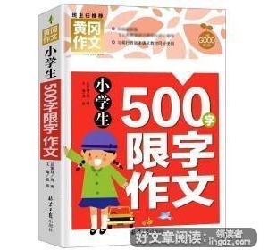 一篇关于写物的作文五百字以上300字