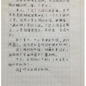 关于介绍朋友的作文300字