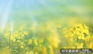 美丽的大自然作文关于夏天1000字10篇