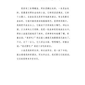 关于快乐作文250字作文800字