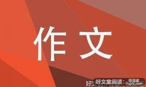 以体验为话题作文600字