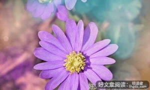 端午节的风俗和来历作文三百字(通用10篇)