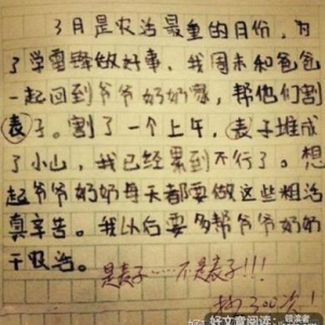 关于被同学误会作文600字300字