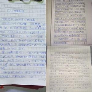 关于感人故事作文400字