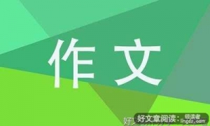 600字左右关于手足情的作文600字