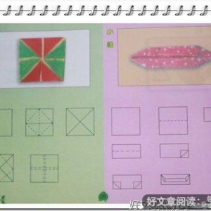 暑假生活拾贝作文600