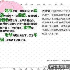 给长辈分担家务500字作文