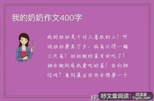 我给奶奶画像作文300字800字