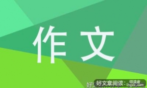 回忆暑假生活800字作文500字