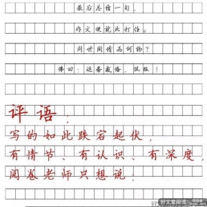 我终于考了一百分作文300字