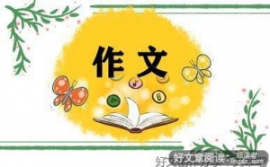 端午节是怎么度过的作文600字