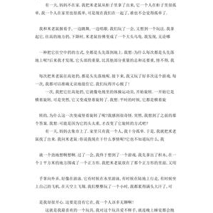 说明文关于玩具的500左右字作文10篇