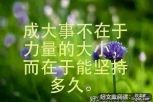 关于要坚持自己判断力的作文