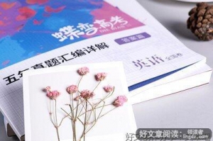 端午节作文英语版短的300字