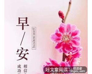 花为媒短句,以花为媒经典语录？