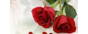 玫瑰花语录唯美短句,春天玫瑰花有关的唯美句子？