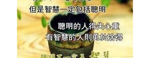 讲聚散的句子,聚散随缘的经典语句？