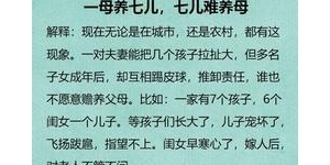 关于亲情的作文优秀句子,关于亲情的名言和故事？