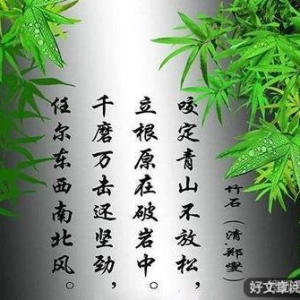 打青山的句子,咬定青山不放松的韧劲经典句子？