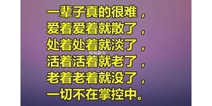 苦尽的句子,知苦即离莫待苦尽经典语录？