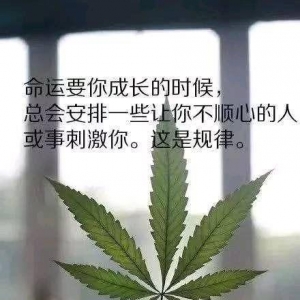 十分恶毒的短句,人心恶毒的经典句子？