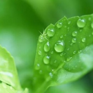 关于雨水时节的诗,雨水时节品诗词：10句经典春雨诗，句句传神，美得令人惊叹 ...