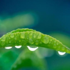 风雨人生,错错对对,不要计较太多!感悟人生经典说说，风雨人生，错错对对，不要计较太 ...