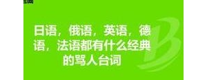 花式怼人的句子俄语,日语，俄语，英语，德语，法语都有什么经典的骂人台词？ ...