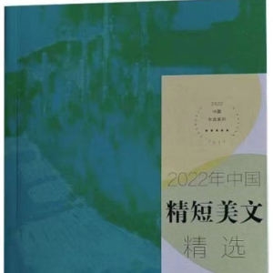 散文《天山大峡谷寻芳》入选《2022年中国精短美文精选》
