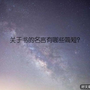 关于书的名言有哪些简短？