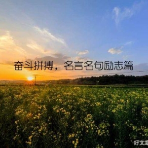 奋斗拼搏，名言名句励志篇