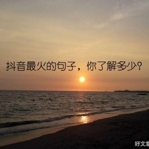 抖音最火的句子，你了解多少？