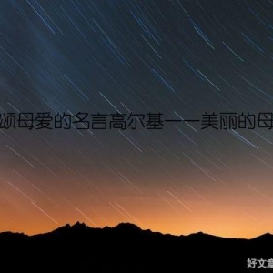 歌颂母爱的名言高尔基——美丽的母爱